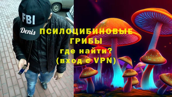 молекула духа Алексеевка
