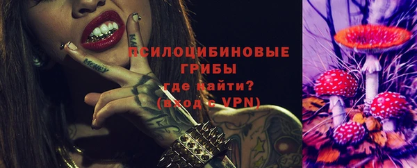 молекула духа Алексеевка