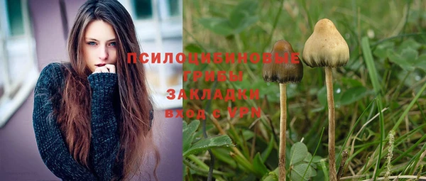 круглые Алзамай