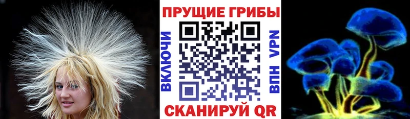 закладка  Сим  Галлюциногенные грибы мицелий 